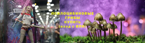 МДПВ Осинники
