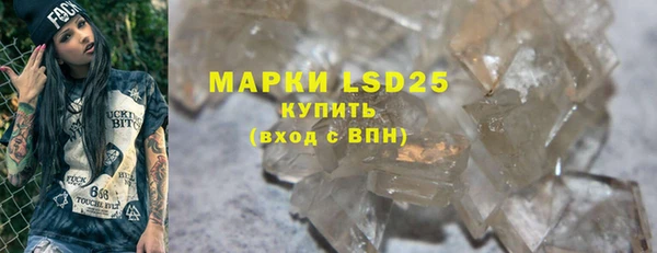 индика Осташков