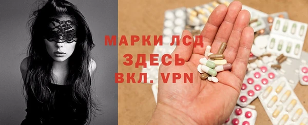 индика Осташков