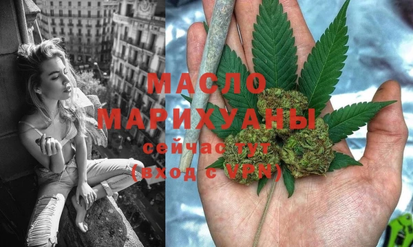 индика Осташков