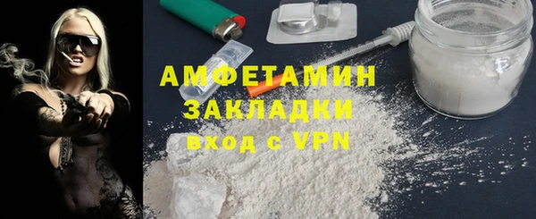 индика Осташков