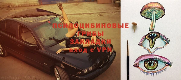 МДПВ Осинники