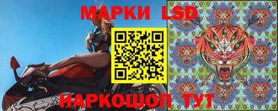 стаф Кингисепп