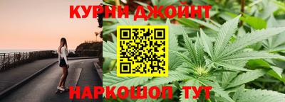 стаф Кингисепп