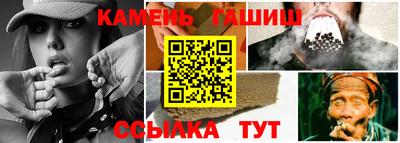 стаф Кингисепп
