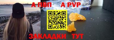 стаф Кингисепп