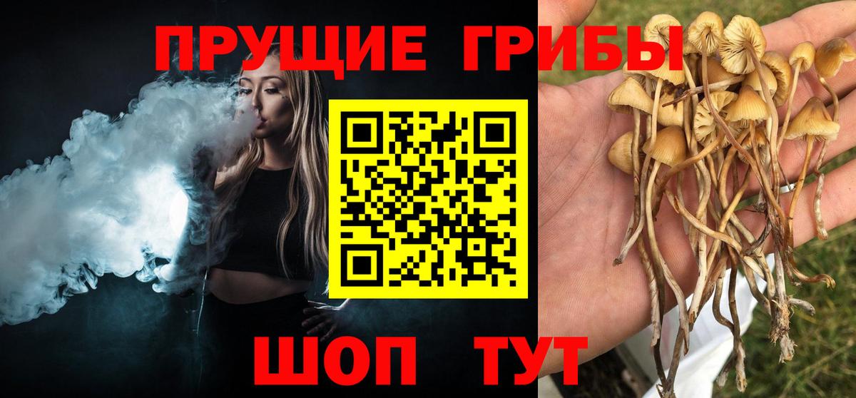 Галлюциногенные грибы мицелий  Псилоцибиновые грибы Cubensis  Нягань  дарнет шоп  Вход с VPN 